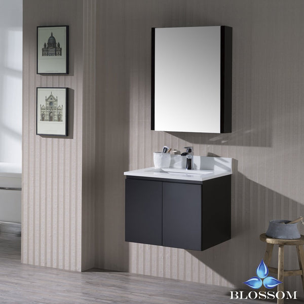 Monaco 24" Wall Mount Vanity Set with Medicine Cabinet