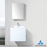 Iceland 24" Vanity Set with Medicine Cabinet