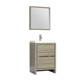 Ripley 24" Single Modern Bathroom Vanity Set Gray with Mirror